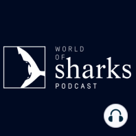 Ask us anything about sharks! With James Lea, Jade Schultz and Lauren de Vos