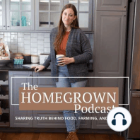 Fermentation 101—why fermented foods are important and how to make them at home with Kaitlynn of Cultured Guru