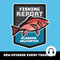Mobile Bay, Dauphin Island and Gulf Shores Fishing Reports for January 22-28, 2024