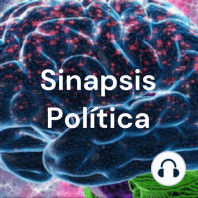 Sinapsis Política - El inicio