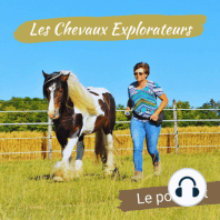 8 - Introduire les émotions dans l'apprentissage du cheval