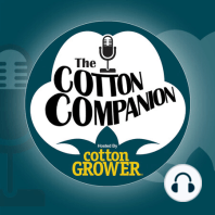 Episode 21 – The Cotton Market Shows Signs of Life!