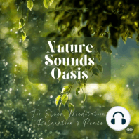 Calming Rain Sounds, Wind And Rain Drops For Deep Sleep, Relaxation, Meditation Or Focus - Relaxing Sound Of Rain, Water Drops, Rainy Weather, Forest,...