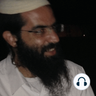 Rav Dovid - Shiurey Torah al Parashat HaShavua