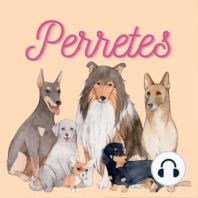 Ep59: Podenco andaluz