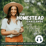 Ep 1. 5 Things I Don’t Do as a Modern Homesteader