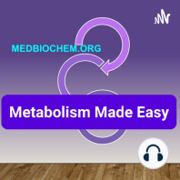 Metabolism in The Well-Fed State