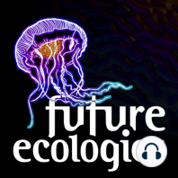 Welcome to Future Ecologies