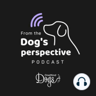 “Each dog is different” - Nelisia van Dyk sharing her learnings from training multiple dogs | Episode 18