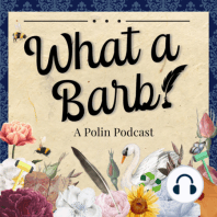 Episode 32 - What Another Question! [Polin Q&A]