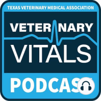 A Big Year for Advancements in Veterinary Oncology with Dr. Zachary Wright