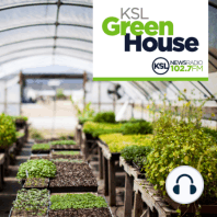 KSL Greenhouse Full Show 2/17/24
