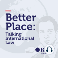 Paul Williams - Co-Founder of Public International Law and Policy Group and Professor in Law and International Relations, American University-Washington DC