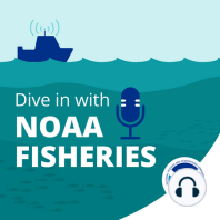 Learn About NOAA Fisheries Surveys