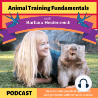40 - The Role of Assent in Animal Training with Anna Linnehan and Awab Abdel-Jalil