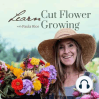 003: Cut and Come Again Flowers: What You Might Be Doing Wrong