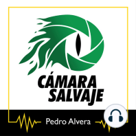 #03 Carlos de Hita. El sonido de la naturaleza