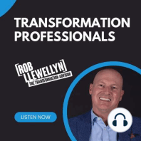 The Distinct Worlds of Transformation and Operational Professionals