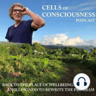 Cells of Rich Consciousness