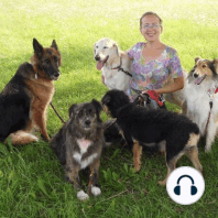 Podcast 107: Nie "przeceniajmy" psów - to nie jest złośliwość