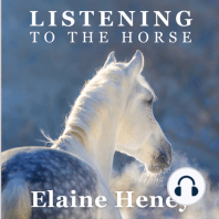 35: The Galway Connemara - AUDIO BOOK PREVIEW by Elaine Heney - Part 4 of 5