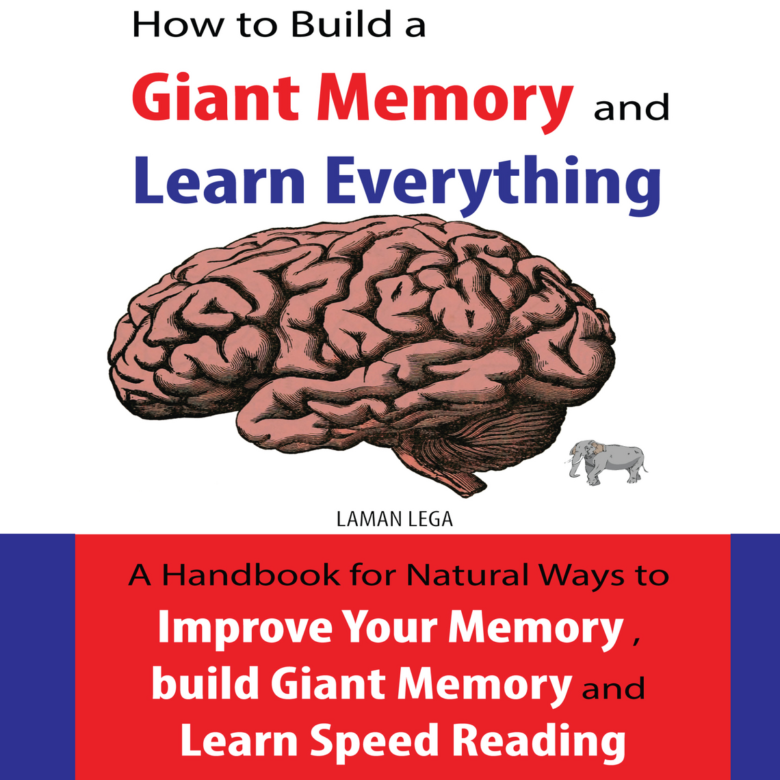 How to Build a Giant Memory and Learn Everything de Hayden Kan ...