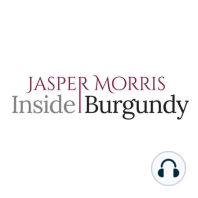 Wine Lister’s 2020 Burgundy Study - Jasper Morris