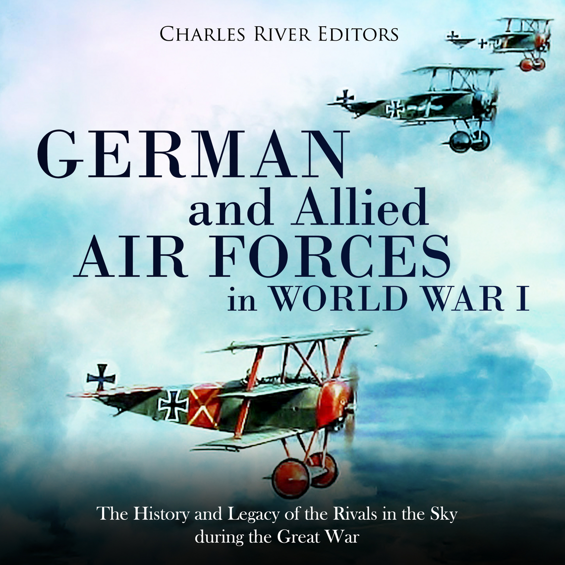 German and Allied Air Forces in World War I: The History and Legacy of ...