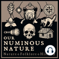 DROOP MOUNTAIN ARTIFACTS, GHOSTS & FOSSILS + A TURTLE PARTY | Park Superintendent | Mike Smith