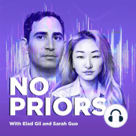 Big tech earnings and the current AI debates, with Sarah Guo and Elad Gil