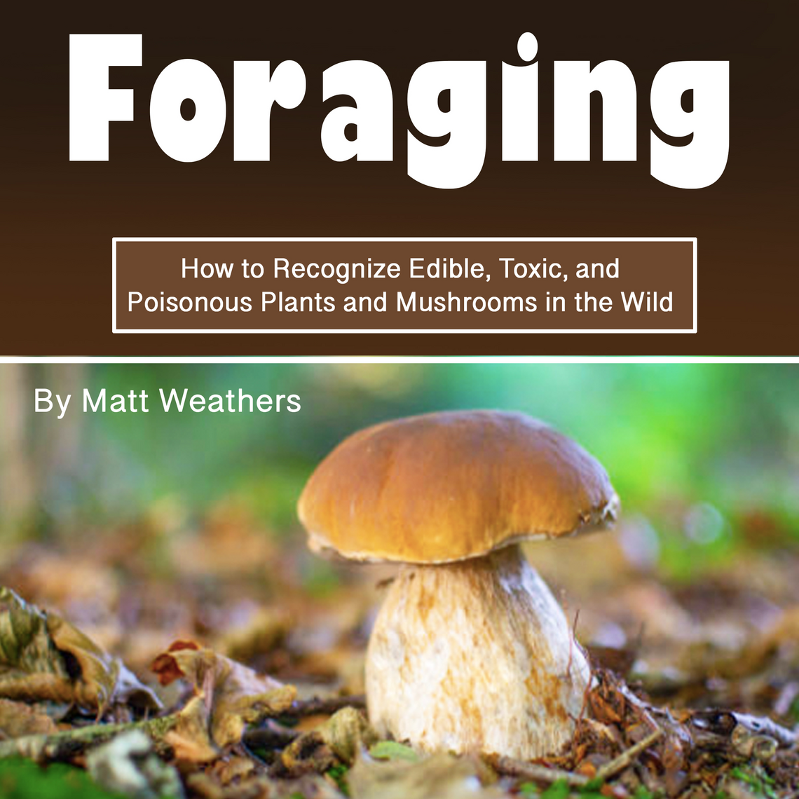 Foraging by Matt Weathers (Audiobook) - Read free for 30 days