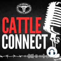 The SLE Rodeo's Unique Mission ft. SLE Executive Director Sarah Hunter