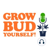 Grow Bud Yourself Episode 129 - Guest: James Bean