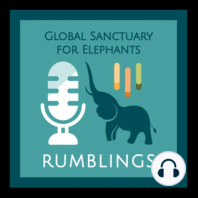 Episode 29: From Circus to Sanctuary (Lady Part I)