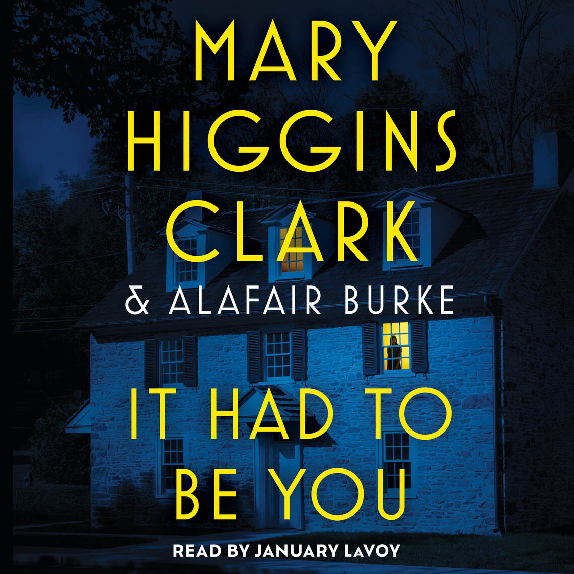 It Had To Be You by Mary Higgins Clark, Alafair Burke (Audiobook ...