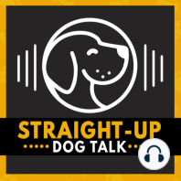 Episode 13 - Backyard breeding, puppy mills, and shelter overpopulation with Ashley from Flag The Breeders