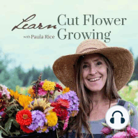 006: Blooming Profits: Harvesting Your Flowers and Learning from Your Farmer's Market