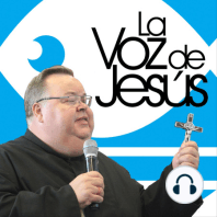 Soy un hijo de Dios : 19 de Marzo 2024 #240319