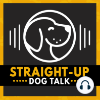 Episode 15 - Rescuing a Heart Worm Positive Dog, Treatment and Recovery with Molly - Polo