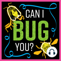 Ep. 5: Whatcha packin', pollinators? Part 1