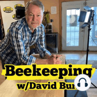 3 Spring Tips: How To Help Your Bees Make More Honey In the Spring