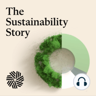 How Does Modern Portfolio Theory Take Into Account Sustainability?