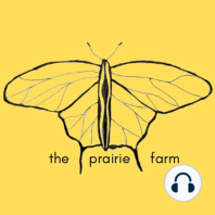 Ep. 35 (Coffee Time) The Evolution of Agriculture, A Big Money Yacht With A Big Problem, and The Death Of A Prairie