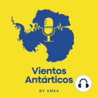 Aves Antárticas - un canto a la supervivencia.