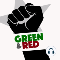 Up Next! Lisa Fithian joins Green and Red to discuss resistance in the age of COVID19.