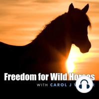 30. Following Oregon’s Wild Horses: Interview with Mustang Meg