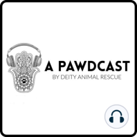 A Pawdcast House of Horrors Part 4