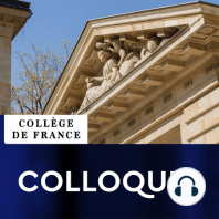 02 - Colloque - Des propriétés esthétiques : Pourquoi la beauté ?