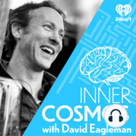 Ep55 "Could a brain plugin instantly teach you to fly a helicopter?"