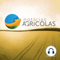 HORSCH na Bahia Farm Show | 10 anos da LS Tractor no Brasil | Jornada da Jacto na Colombia